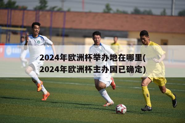 2024年欧洲杯举办地在哪里(2024年欧洲杯主办国已确定)